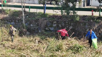 通城县塘湖镇：聚力人居环境整治，绘就宜居和美乡村