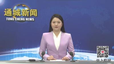 视频-黄建平在2025年通城县优化营商环境、产业倍增暨招商引资工作会上强调：大抓产业、大抓招商、大抓环境 奋力推动通城经济社会高质量跨越式发展 