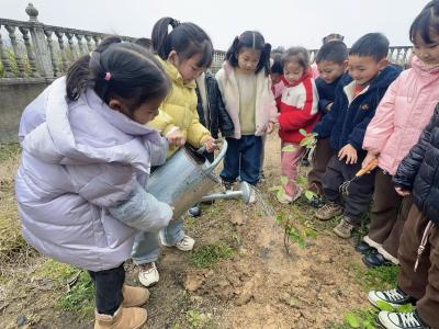 通城县关刀镇中心小学开展植树节主题实践活动