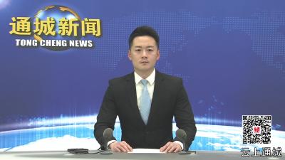 视频-通城县马港镇传达学习贯彻市委主要领导调研通城讲话精神