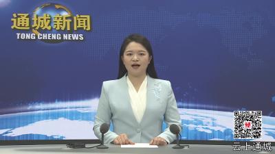 视频—【春耕备耕正当时③】通城：农机市场销售旺