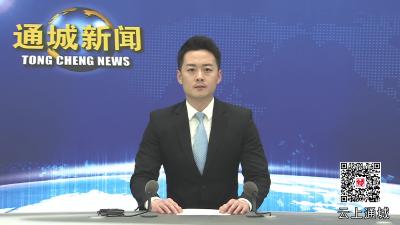 视频-通城县红十字会召开第一届理事会第三次会议
