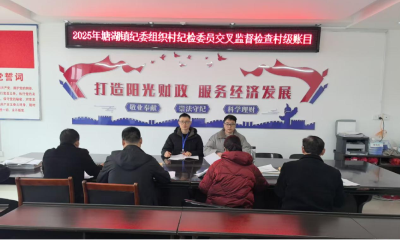 通城县塘湖镇：账目交叉查问题 财务监督筑根基