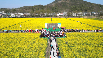 持续到8月！“瀛德健康”通城县2025年第二届文旅助农惠农赏花季活动正式启动