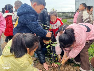 通城县关刀镇中心幼儿园开展植树节活动
