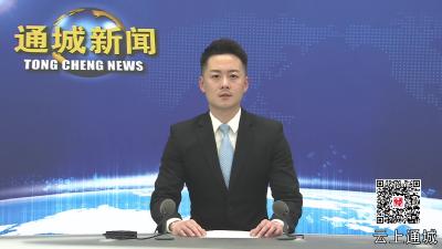 视频-通城：一线监督 “蔬”写产业兴农好图景