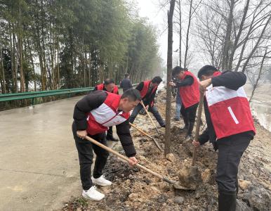 通城县石南镇：三月春暖学雷锋 植树护绿我先行