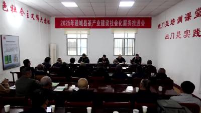 视频-通城县全力推进茶产业建设社会化服务工作 