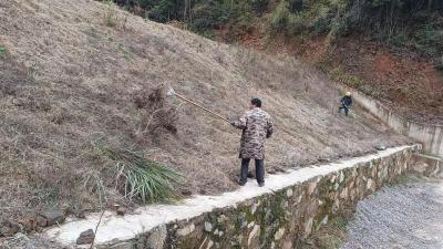 通城县沙堆镇罗塘村：清理河堤杂草 守护碧水清流