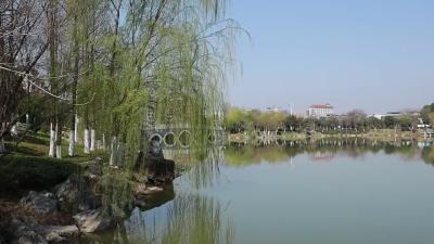 视频-通城：春暖花开 乐享春日好时光 