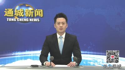 视频-杨修伟到沙堆镇督导检查森林防火工作