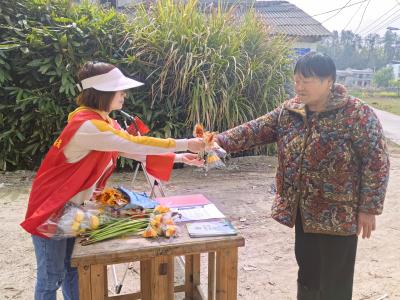大坪乡开展“鲜花替纸钱，低碳祭扫更‘清明’新时代文明实践活动