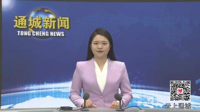 视频-通城县人大代表建议、政协委员提案交办会议召开 