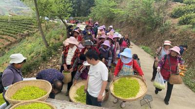 有就业 有收入 有盼头——贵州乡村产业巩固拓展见闻