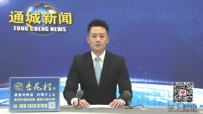 视频-通城县安委会2025 年第二次全体会议召开