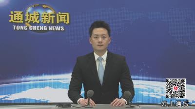 视频-黄建平在调研重点项目建设工作时强调：坚定不移大抓项目抓大项目 将重点项目转化为实实在在的发展成果