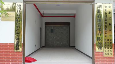 视频-湖北工业大学携手石溪彩米 共建功能主粮研究中心