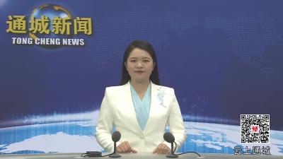 视频-通城县召开鄂湘赣商贸物流中心项目建设工作推进会 
