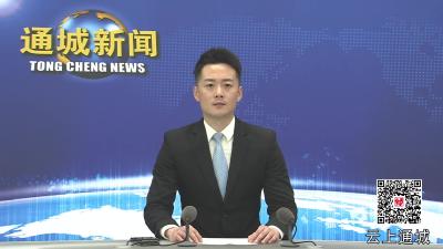 视频-通城县政协召开民主监督协商座谈会助推营商环境不断优化