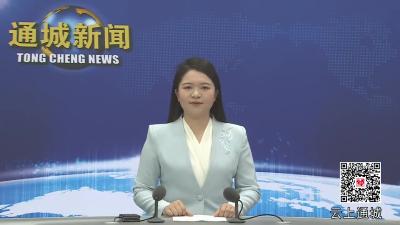 视频-杨修伟率队赴广西柳州招商考察 