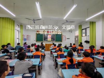 通城县麦市中心完小开展森林防火专题教育活动