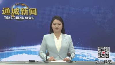 视频-黄建平主持召开“加快支点建设大研讨 推动通城发展大反思”暨县委理论学习中心组集体学习会议