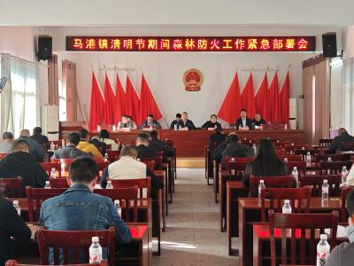 通城县马港镇：倡导文明祭祀新风尚 绘就绿色清明新图景