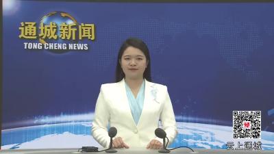 视频-黄建平主持召开县委常委会2025年第12次会议 