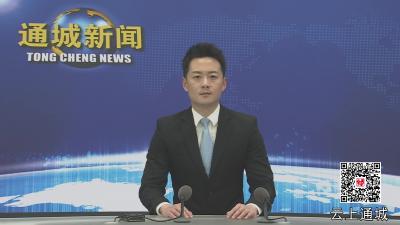 视频-2025年第6次通城县政府常务会议召开