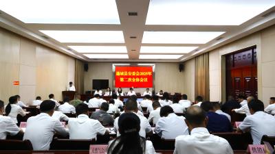 通城县安委会2025年第二次全体会议召开
