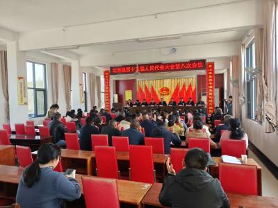 通城县北港镇第十五届人民代表大会第八次会议召开