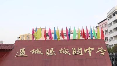 视频-赓续红色血脉！通城县城关中学开展清明祭英烈活动 