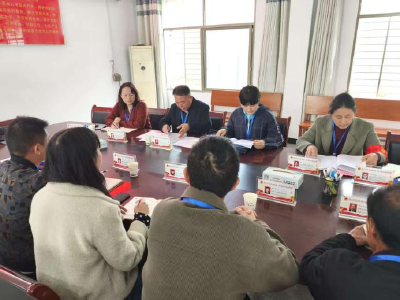 通城县石南镇开展“聚力支点建设 共建和美石南”人大代表行动
