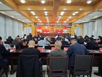 通城县沙堆镇第十五届人民代表大会第六次会议召开
