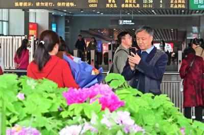 创历史同期新高！清明假期全国铁路共发送旅客8588万人次