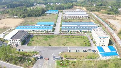 通城县关刀镇：园区办在“家门口”  挣钱顾家“两不误”