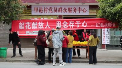 视频-通城县关刀镇：清明祭扫用鲜花 文明新风吹万家 