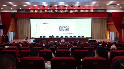 视频-通城县红十字会走进2025年县委党校春季主体班开展应急救护培训 