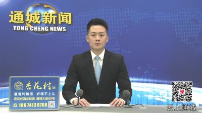 视频-通城县2025年度耕地恢复整治工作会召开