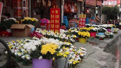 视频-通城：绿色清明新风尚 花束祭祀成主流