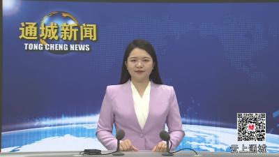 视频-【春耕备耕正当时⑤】通城县关刀镇：春耕生产正当时 蔬菜基地种植忙 