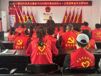 通城县麦市镇开展“森林防火·文明清明”志愿行动