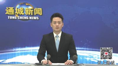 视频-黄建平专题调研群众身边不正之风和腐败问题集中整治工作时强调：坚决纠治损害群众利益的不正之风和腐败问题 推进正风肃纪反腐走深走实