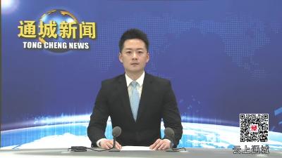视频-通城：规范涉企行政检查 推进 “综合查一次”工作 
