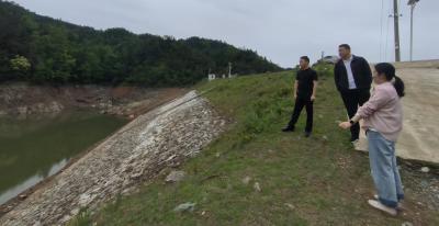 通城县大坪乡：闻“汛”而动守安澜，筑牢堤坝护民安