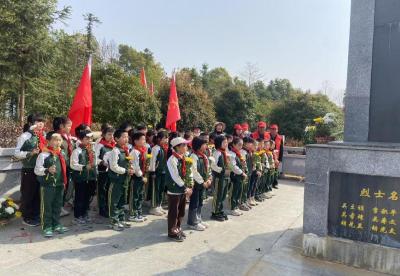 通城县大坪乡下畈完小：缅怀先烈寄哀思 红色传承润童心