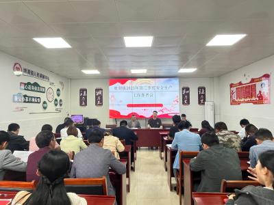 通城县塘湖镇召开2025年第二季度安全生产工作会议