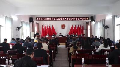 视频-通城县马港镇第十届人民代表大会第八次会议召开 