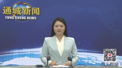 视频-通城县新的社会阶层人士联谊会第二次会员代表大会召开