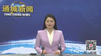 视频-黄建平率队赴九州通集团招商考察 
